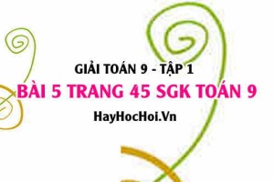 Giải bài 5 trang 45 SGK Toán 9 tập 1